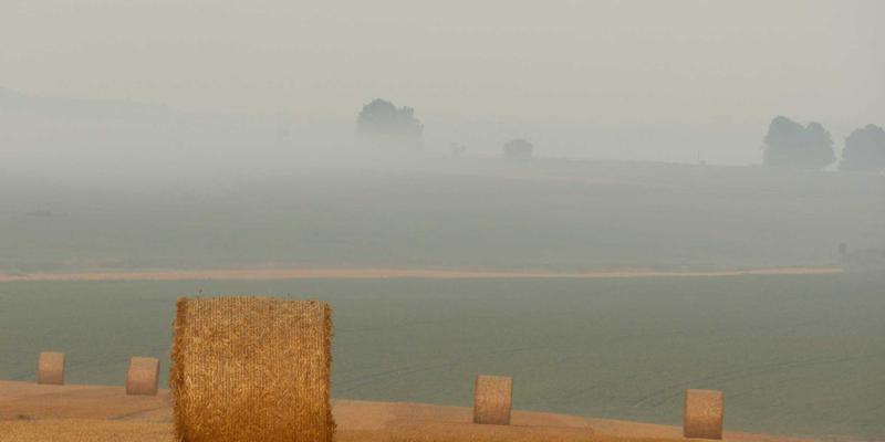 SIM + Tour Crawler Deal