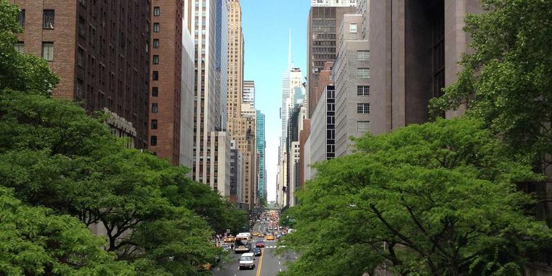 The Globe Restaurant