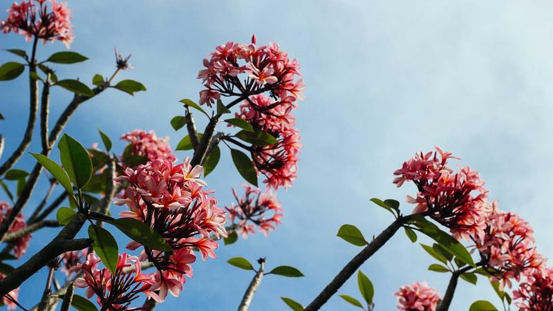 NEOM's The Line Welcomes First Residents