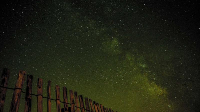 Saudi Coffee Culture Gains Global Recognition Saudi Coffee Culture Gains Global Recognition