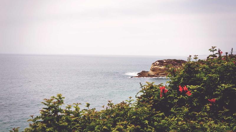 Saudi Tourism Authority Launches New Campaign for Asian Markets Saudi Tourism Authority Launches New Campaign for Asian Markets