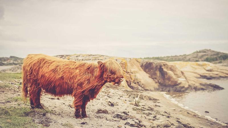 Madinah Smart City Project Enhances Pilgrim Experience Madinah Smart City Project Enhances Pilgrim Experience