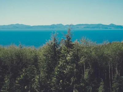 Hegra Ancient City Tour