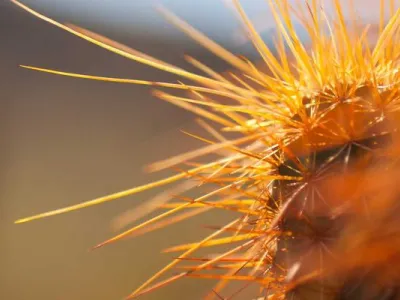 Old Jeddah Al-Balad Heritage Walk