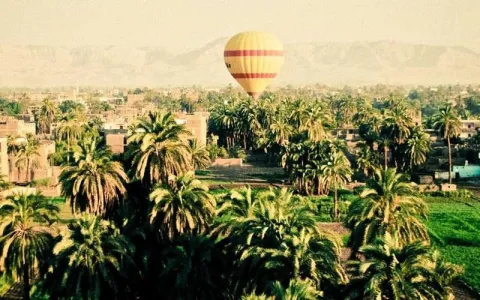 Novotel Dammam Business Park - Photo 2