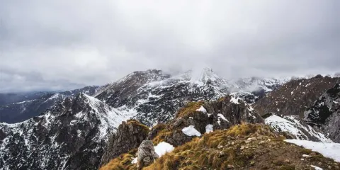 Harith AlUla Farm-to-Table