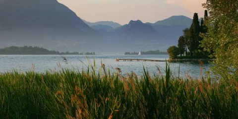 Danube