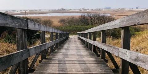 Madinah Pilgrim Bus Service