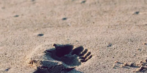 Jeddah VIP Limousine Service